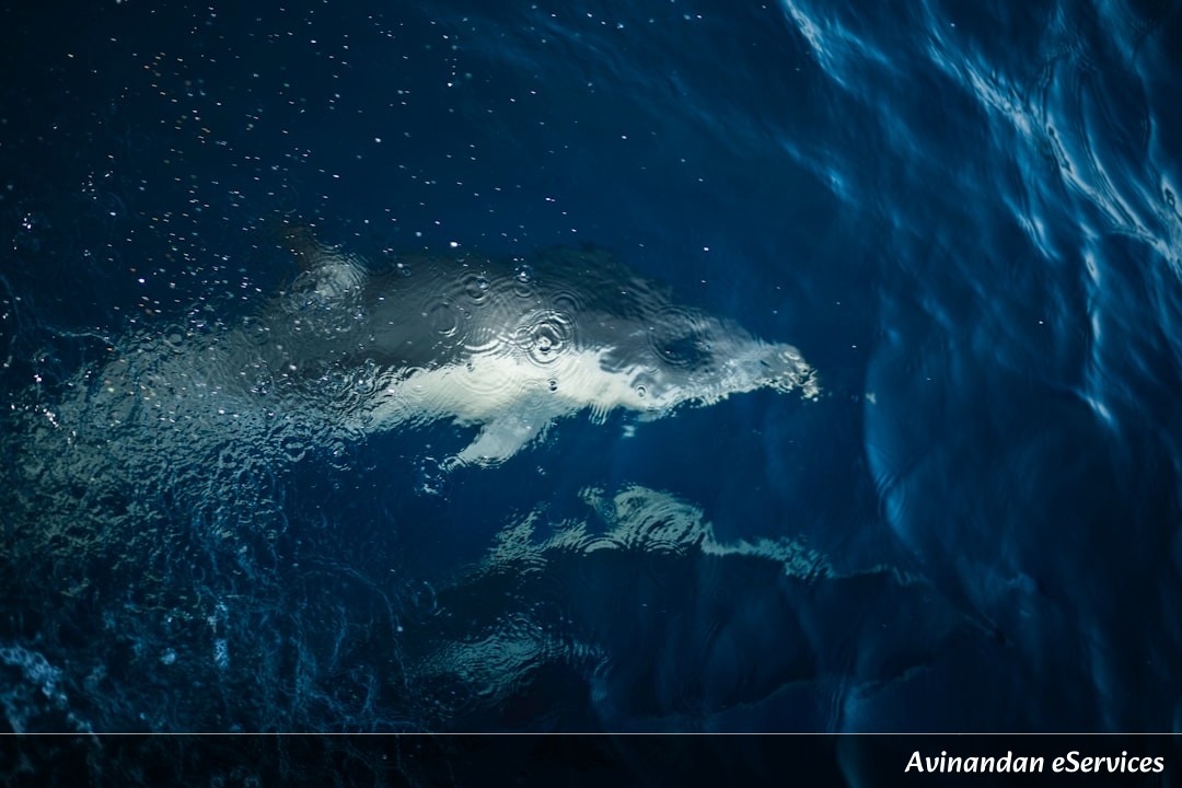 How Can an Underwater Icicle Freeze the Sea Floor?: Vikram and Isha Dive Deep!