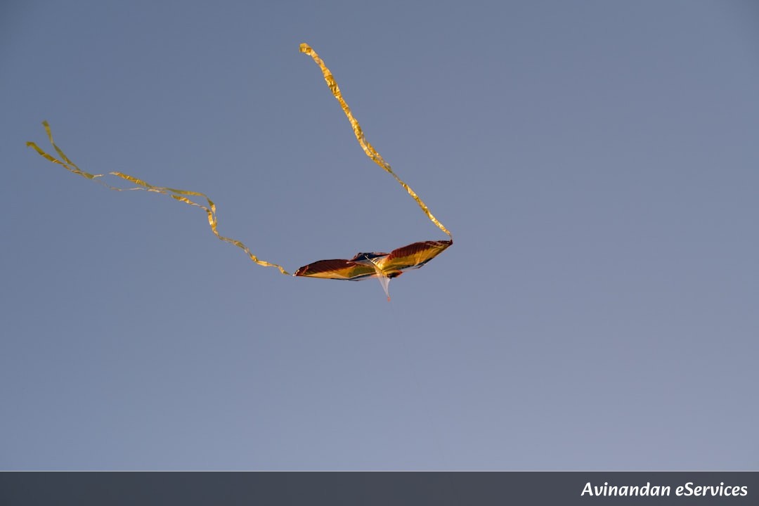 How Can a Bird Fly for Ten Months Without Landing?: A Science Chat with Samir and Ananya