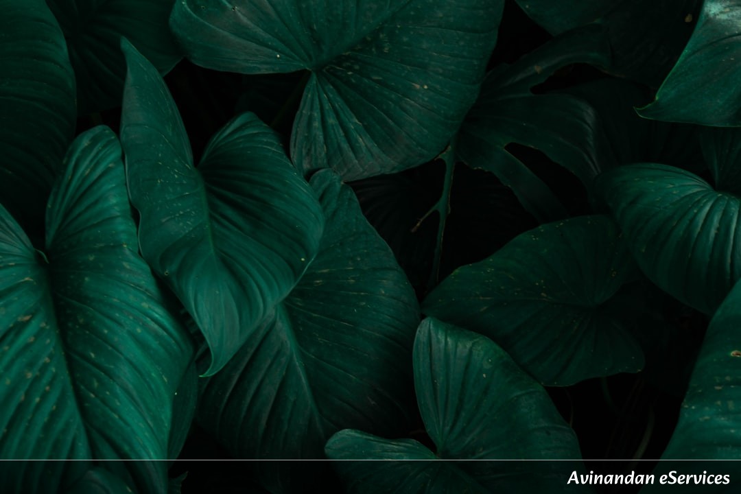 How Can a Plant 'Scream' When It's Thirsty?: A Science Chat with Arjun and Ananya