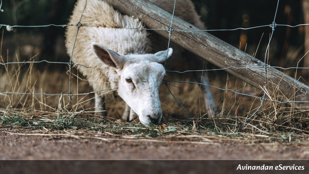 NCERT Explained: Class VII Science, Chapter 2 - Nutrition in Animals: How Living Beings Process Food