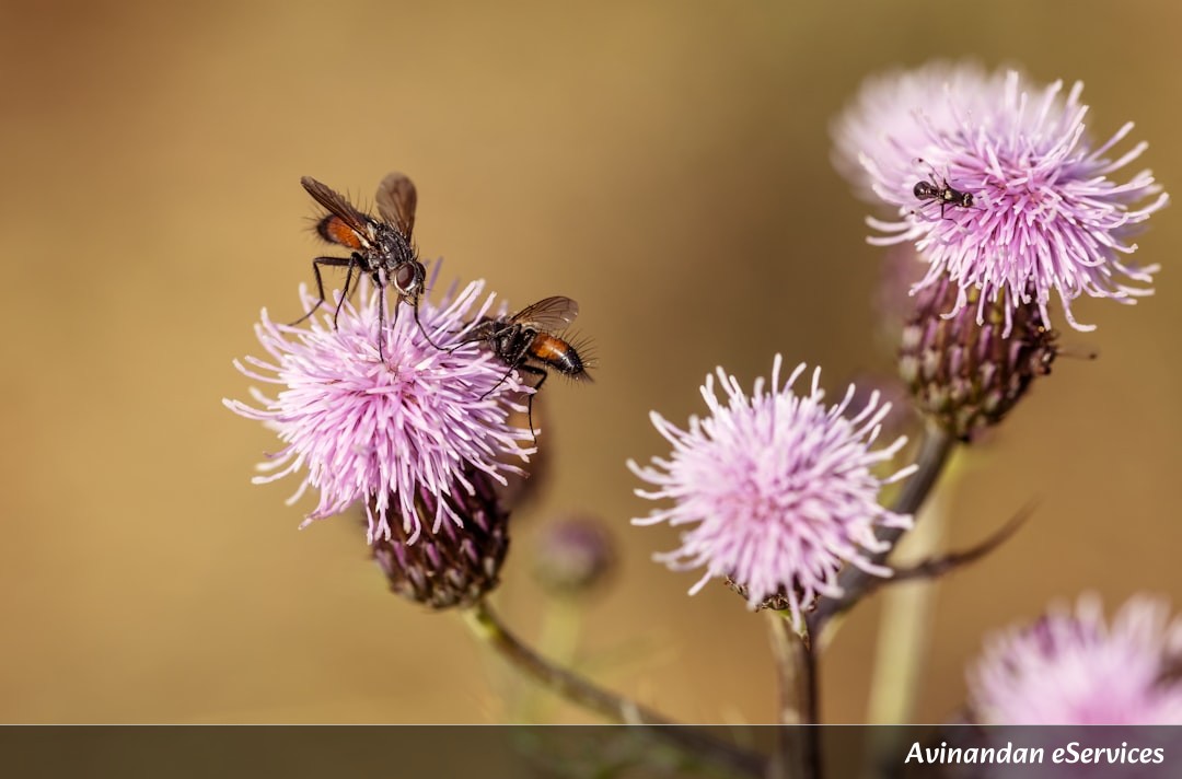 How Can a Flower Use Electricity to Talk to Bees?: Arjun and Saanvi Spark a Conversation!