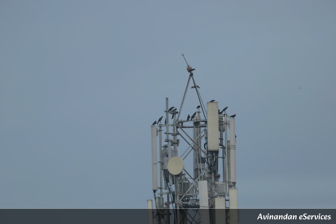 RRB NTPC & Group D General Awareness: Master the Indian Space Program and ISRO – Complete Guide with Facts & Questions