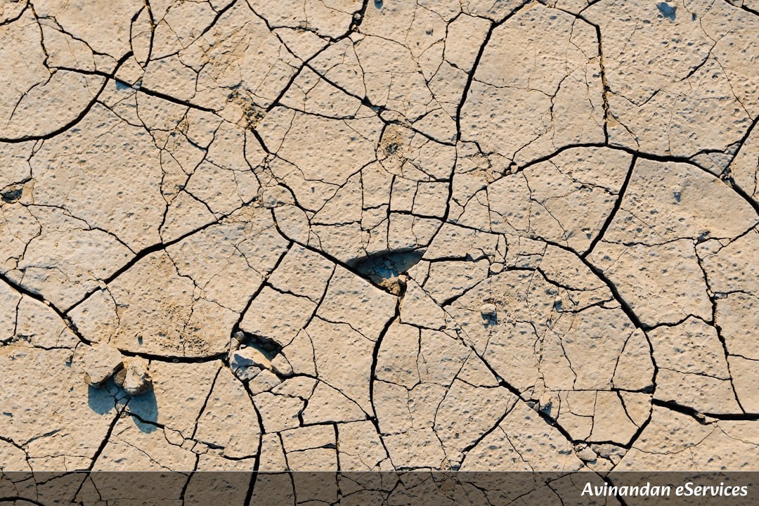 NCERT Explained: Class X Geography, Chapter 3 - Water Resources: A Vital Asset for Humanity