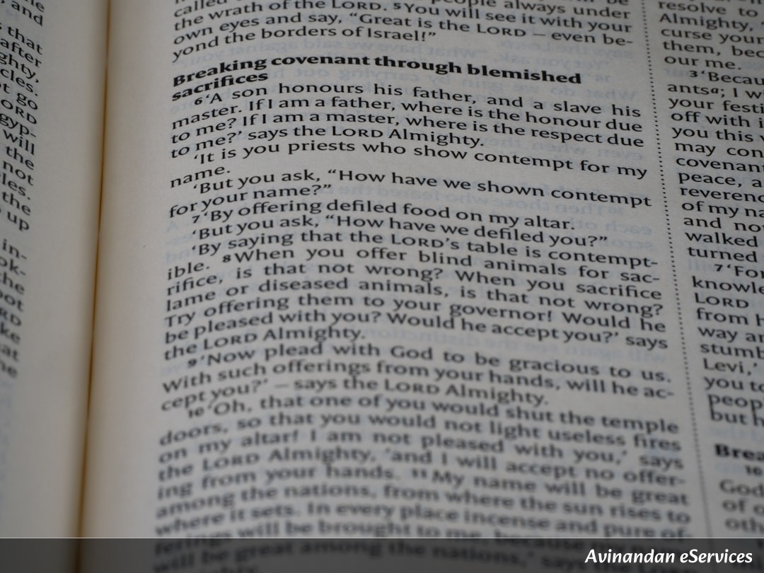 NCERT Explained: Class VI Science, Chapter 1 - Components of Food: The Building Blocks of Life