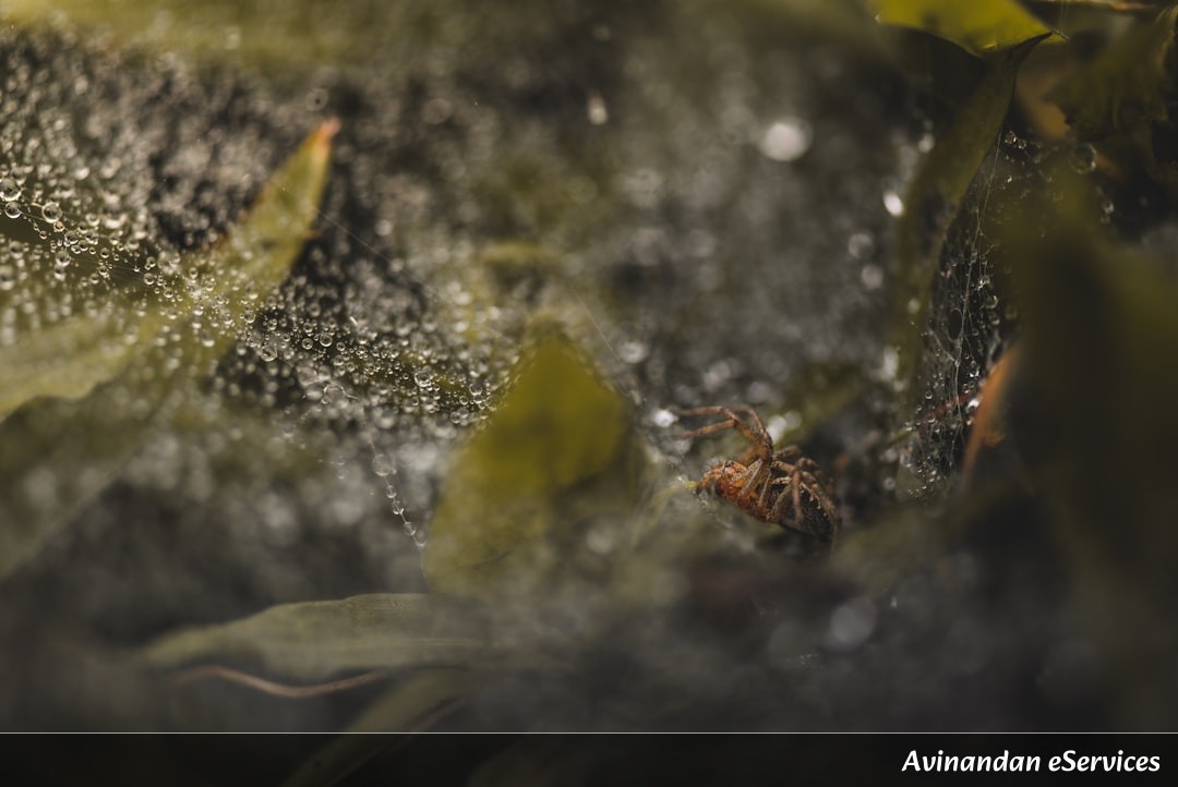 How Can a Tiny Beetle Shoot Boiling Chemicals?: A Science Chat with Samir and Isha