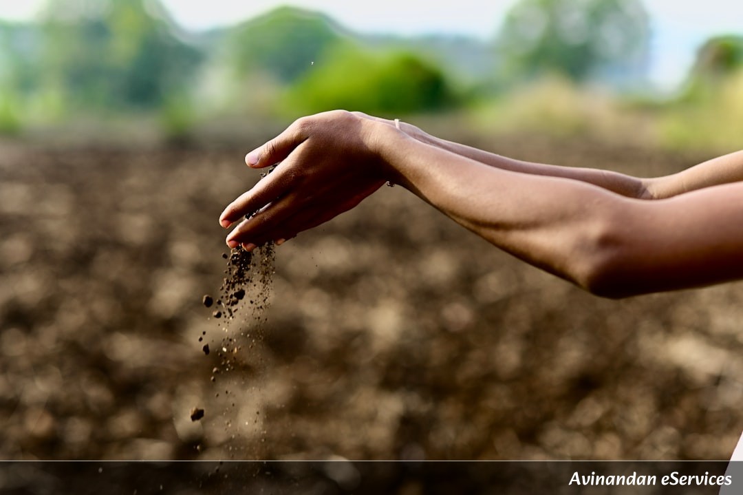 NCERT Explained: Class VII Science, Chapter 9 - Soil: The Foundation of Life