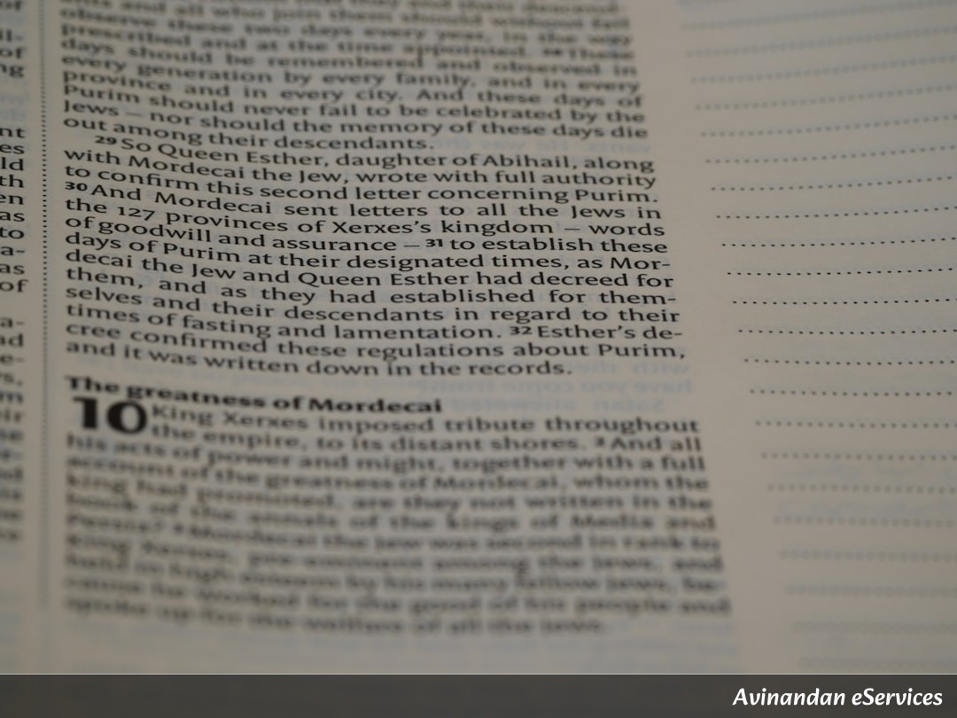 NCERT Explained: Class XI History, Chapter 2 - Writing and City Life