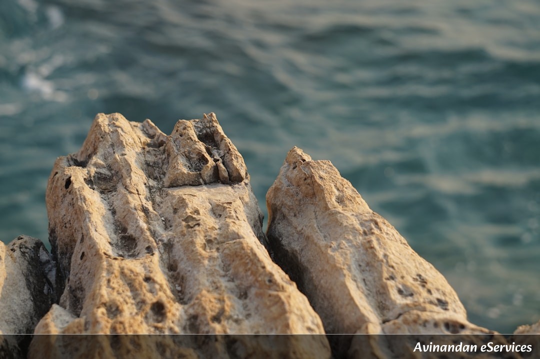 How Can a Rock Float on Water?: Rohan and Priya Dive In!