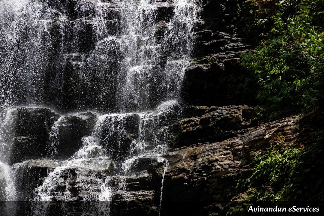 How Can a Fish Climb a Waterfall with Its Mouth?: Vikram and Priya Dive In!