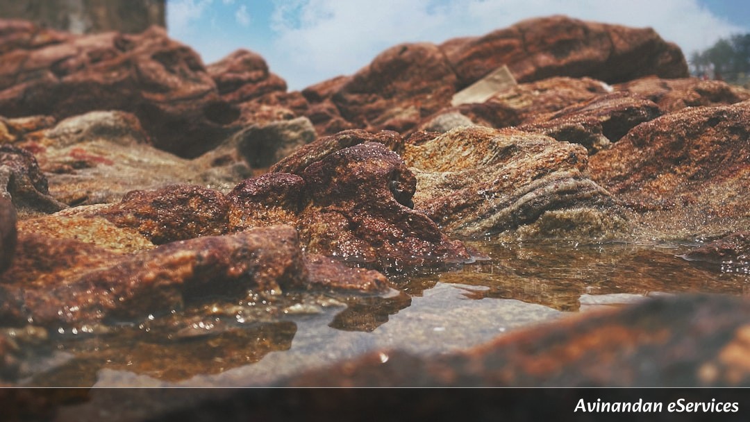 How Can a Lizard Run Across the Surface of Water?: A Science Chat with Aarav and Saanvi