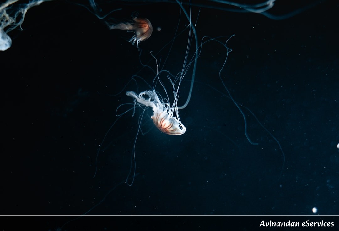 NCERT Explained: Class XII Biology, Chapter 13 - Organisms and Populations