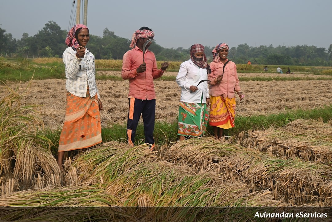 RRB NTPC & Group D General Awareness: Master Indian Agriculture and Crops – Complete Guide with Facts & Solved Questions