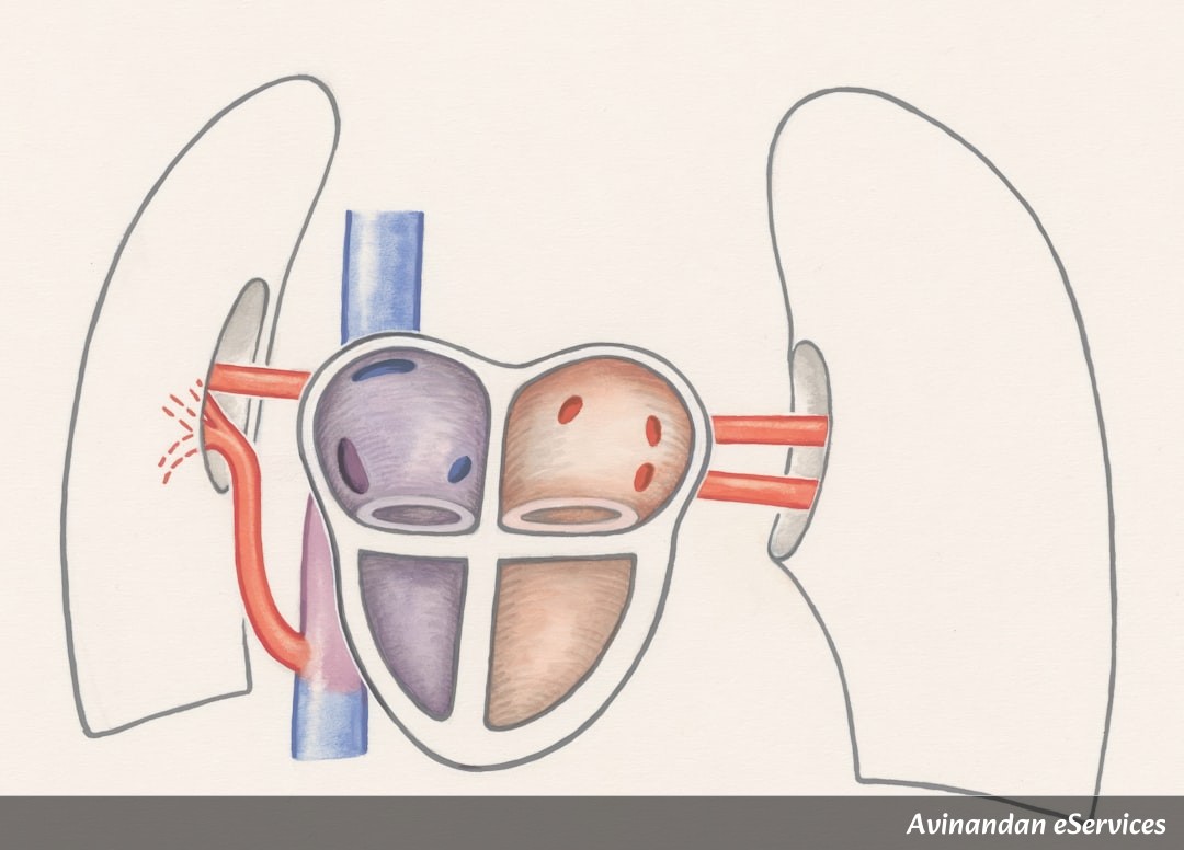 RRB NTPC & Group D Biology: Master the Human Circulatory System – Heart, Blood & Solved Questions