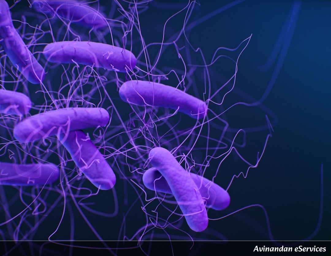 NCERT Explained: Class VII Science, Chapter 10 - Respiration in Organisms: Why and How We Breathe