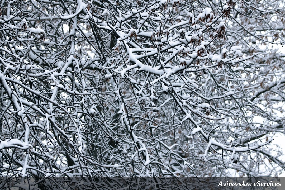How Can a Shrew Shrink Its Own Brain to Survive Winter?: A Science Chat with Arjun and Isha