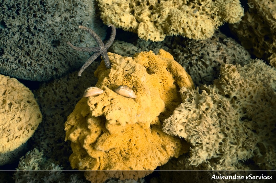 How Can a Worm That Lives in the Deep Sea Actually 'Eat' Its Own Bones?: A Science Chat with Samir and Isha
