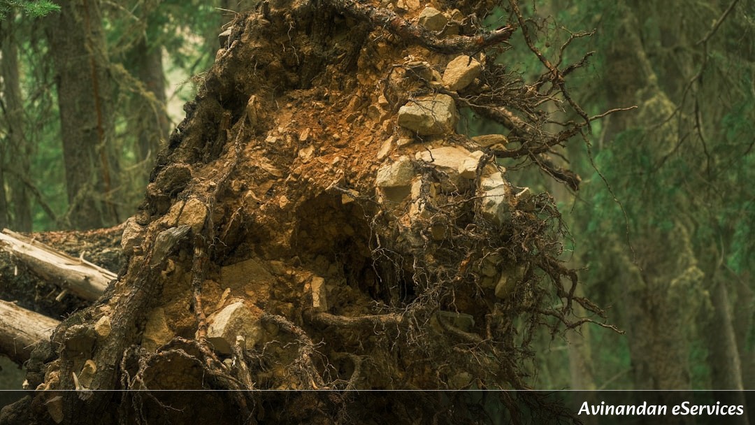 How Can a Tree Communicate Through a 'Wood Wide Web'?: Samir and Isha Uncover the Secret
