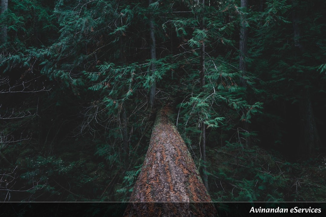 Why Do Some Trees Walk?: A Science Chat with Samir and Ananya