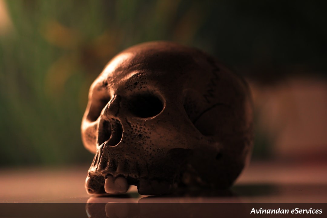 NCERT বিস্তারিত ব্যাখ্যা: দশম শ্রেণি জীববিজ্ঞান, অধ্যায় ৬ – নিয়ন্ত্রণ ও সমন্বয়: প্রাণীদের স্নায়ুতন্ত্র ও হরমোন