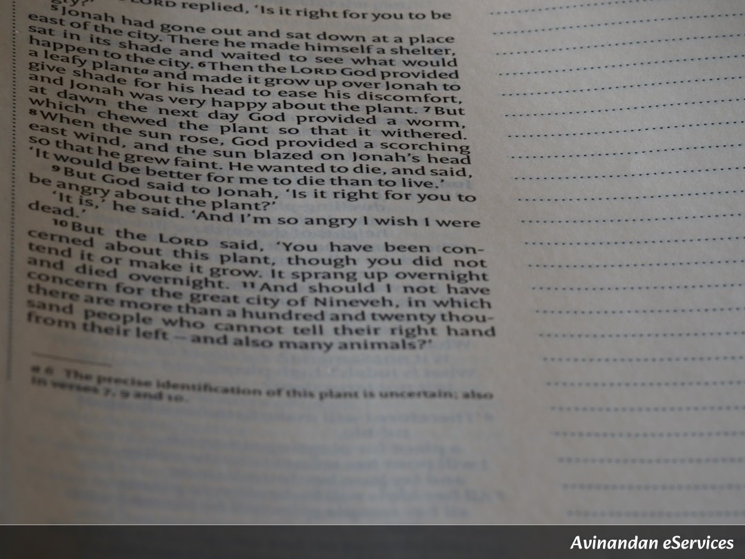 NCERT Explained: Class XII Business Studies, Chapter 5 - Organising: Creating a Framework for Success