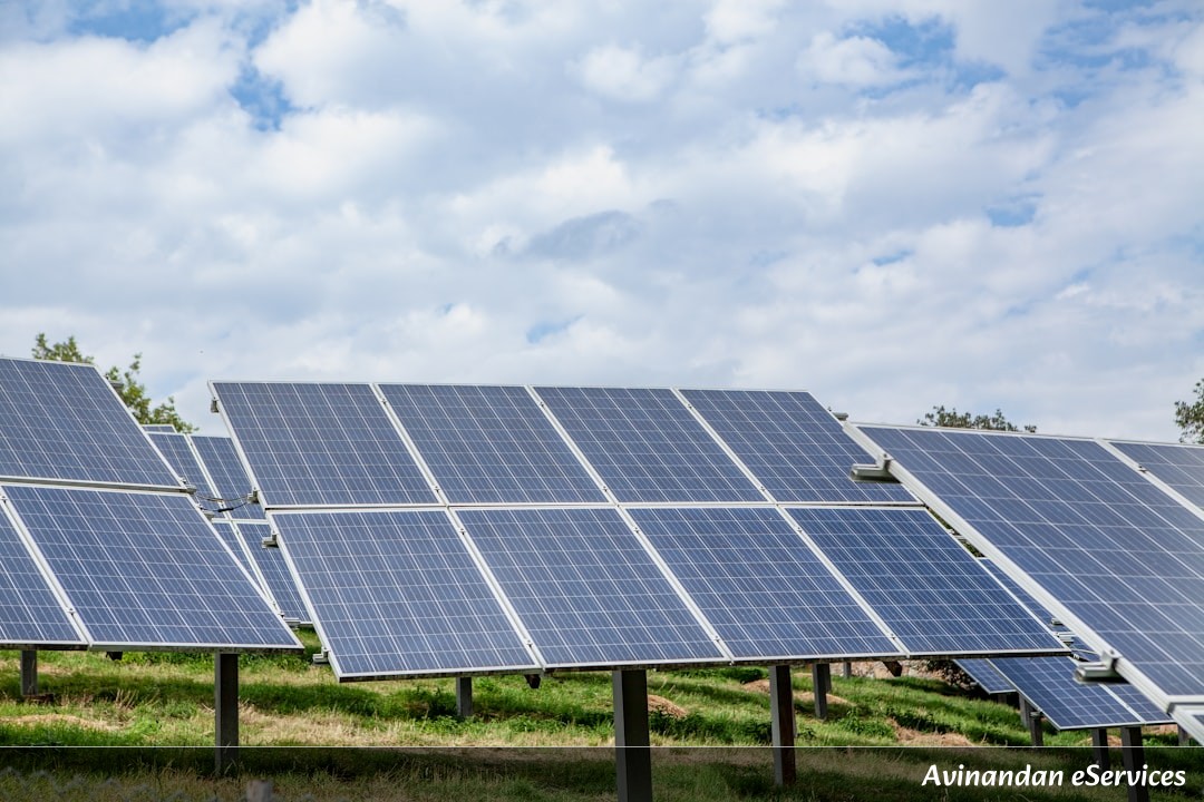 Why Do Some Plants Trap Sunlight Like a Solar Panel?: A Science Chat with Aarav and Saanvi