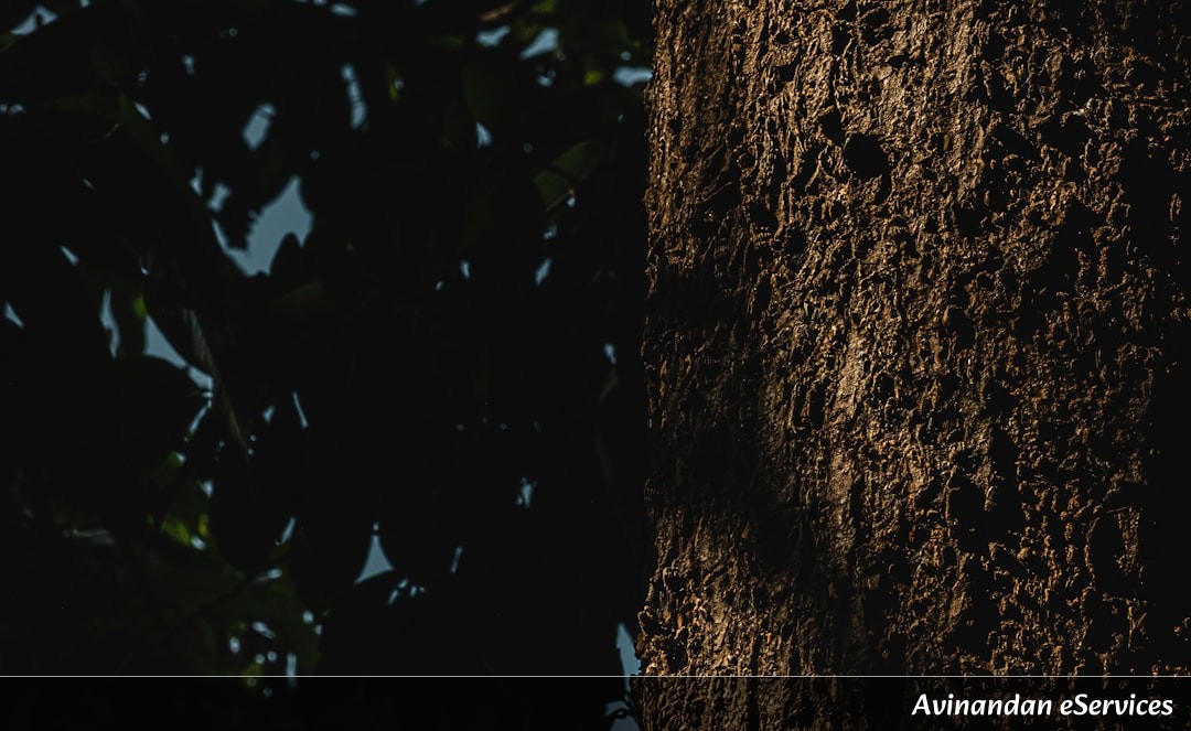 How Can a Tree 'Inhale' Metal?: An Incredible Chat with Aarav and Saanvi