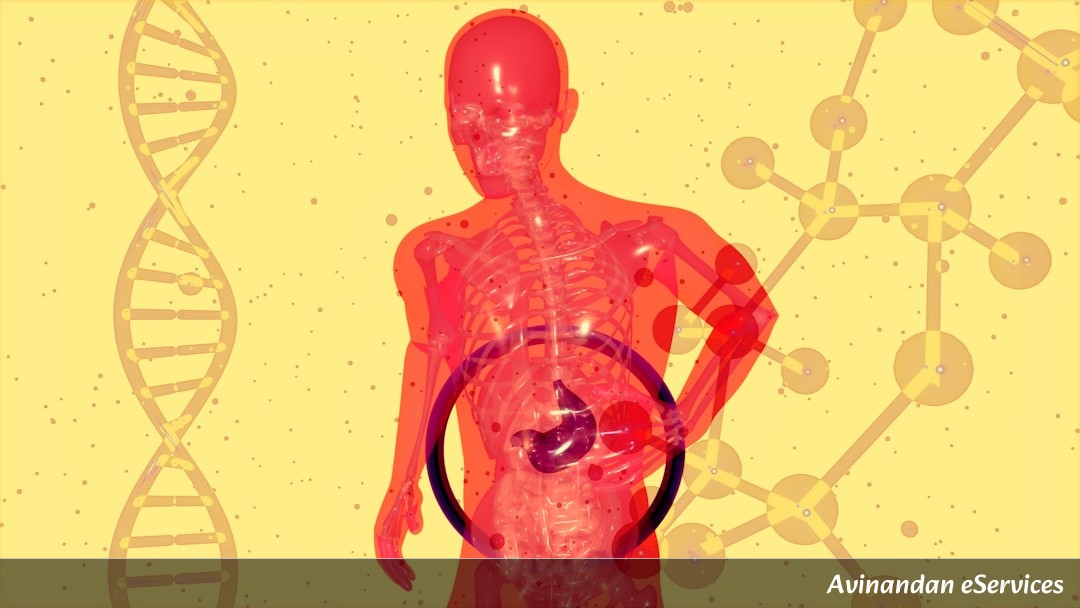 RRB NTPC & Group D Biology: Master the Human Endocrine System – Glands, Hormones & Solved Questions