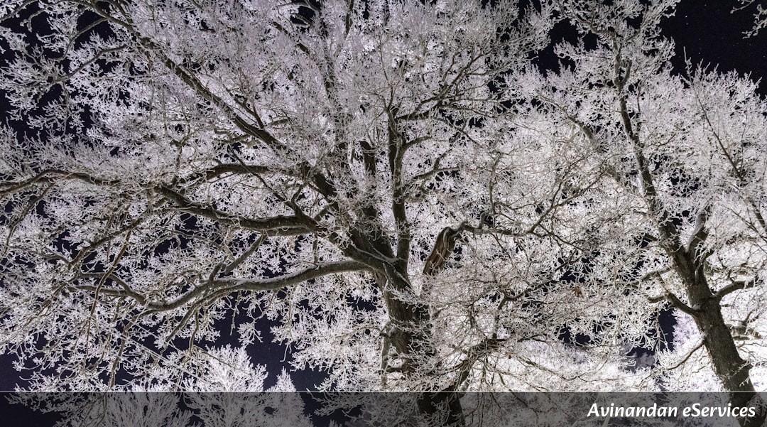 How Can a Tree 'Freeze' Time and Live for Thousands of Years?: A Science Chat with Rohan and Mira