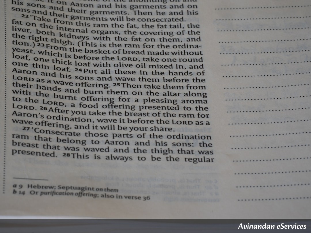 NCERT Explained: Class XI History, Chapter 4 - The Central Islamic Lands