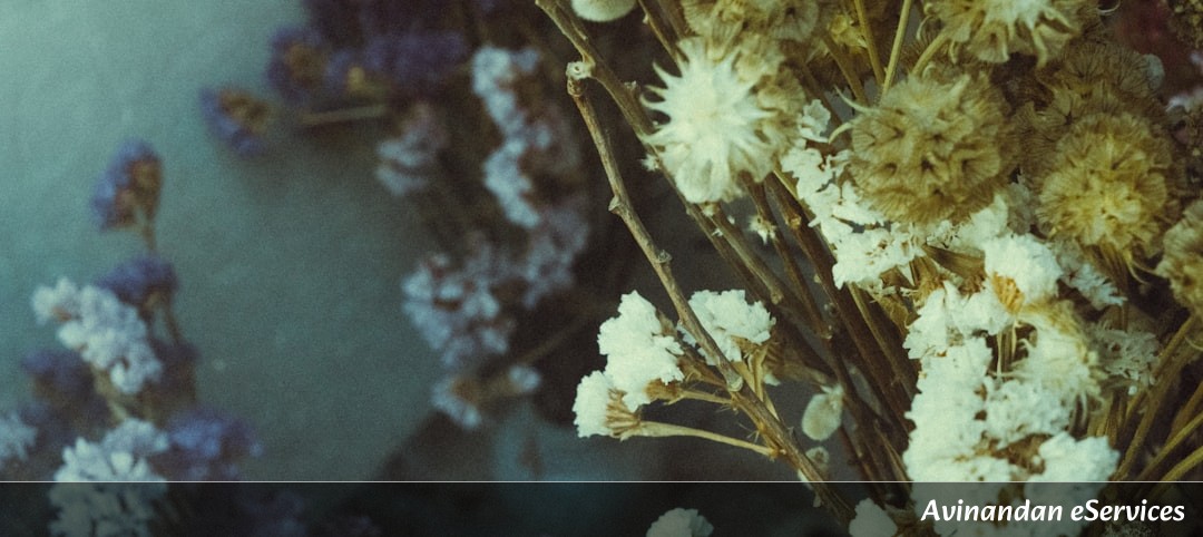 Why Can Some Flowers Measure Time and Temperature?: A Science Chat with Rohan and Priya