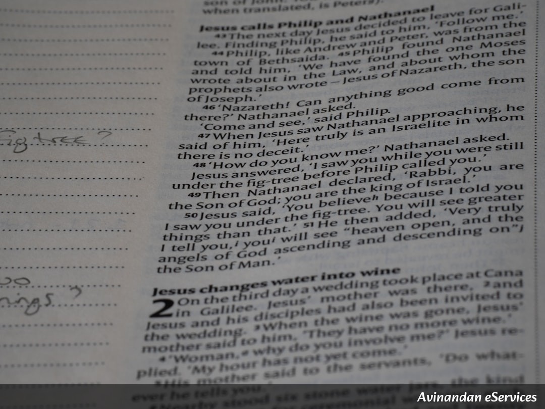 NCERT Explained: Class XI Economics, Chapter 6 - Rural Development