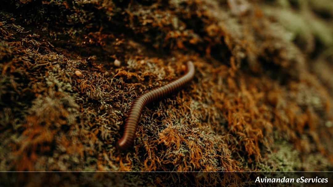 Why Can Some Worms 'Shoot' Light to Hunt?: A Science Chat with Samir and Saanvi