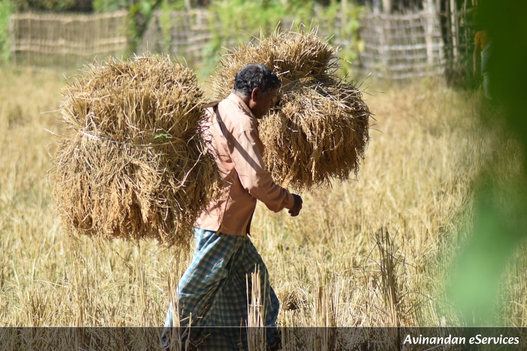 NCERT বিস্তারিত ব্যাখ্যা: অষ্টম শ্রেণি ইতিহাস, অধ্যায় ৬ – উপনিবেশবাদ ও গ্রামীণ সমাজ: এক পূর্ণাঙ্গ বিশ্লেষণ