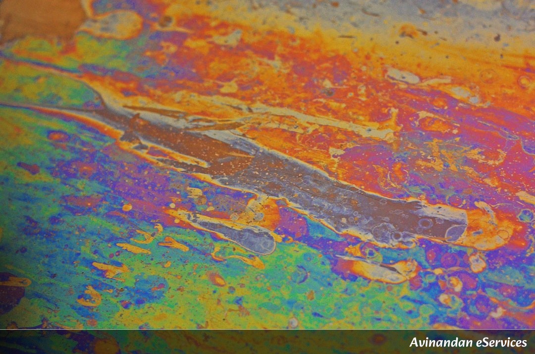 Why Can Some Worms 'Read' the Future of the Tides?: Vikram and Mira Find Out!