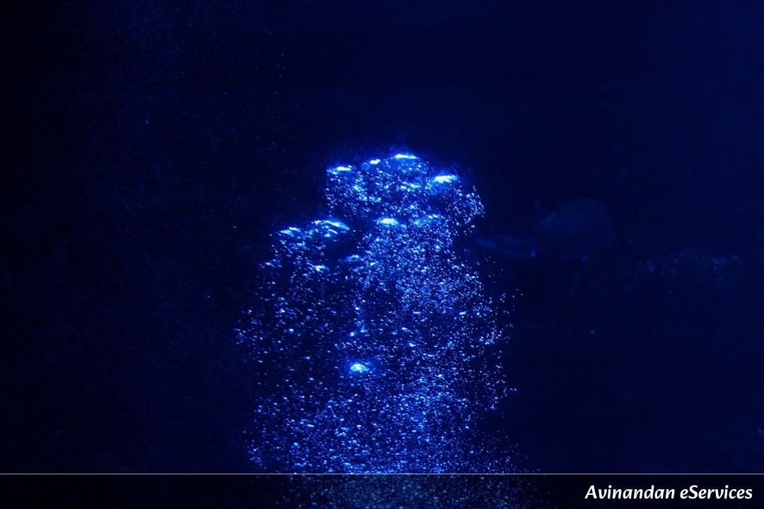 Why Can Some Deep-Sea Creatures Use 'Living' Flashlights?: A Science Chat with Vikram and Isha