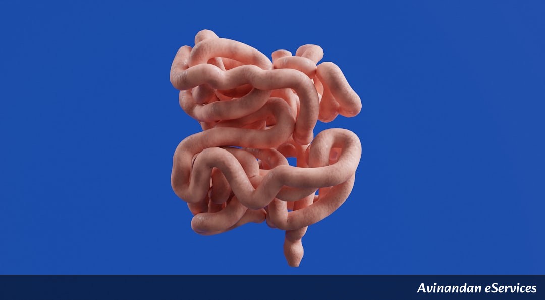 RRB NTPC & Group D Biology: Master the Human Excretory System – Organs, Functions & Solved Questions