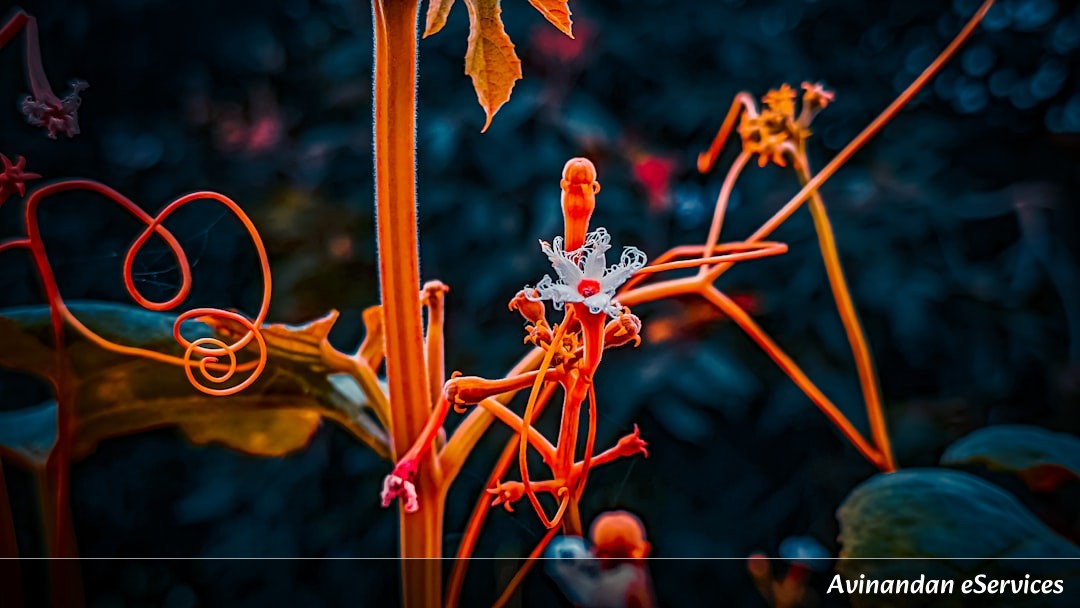 Why Do Some Plants 'Scream' When They Are Thirsty?: A Science Chat with Samir and Mira