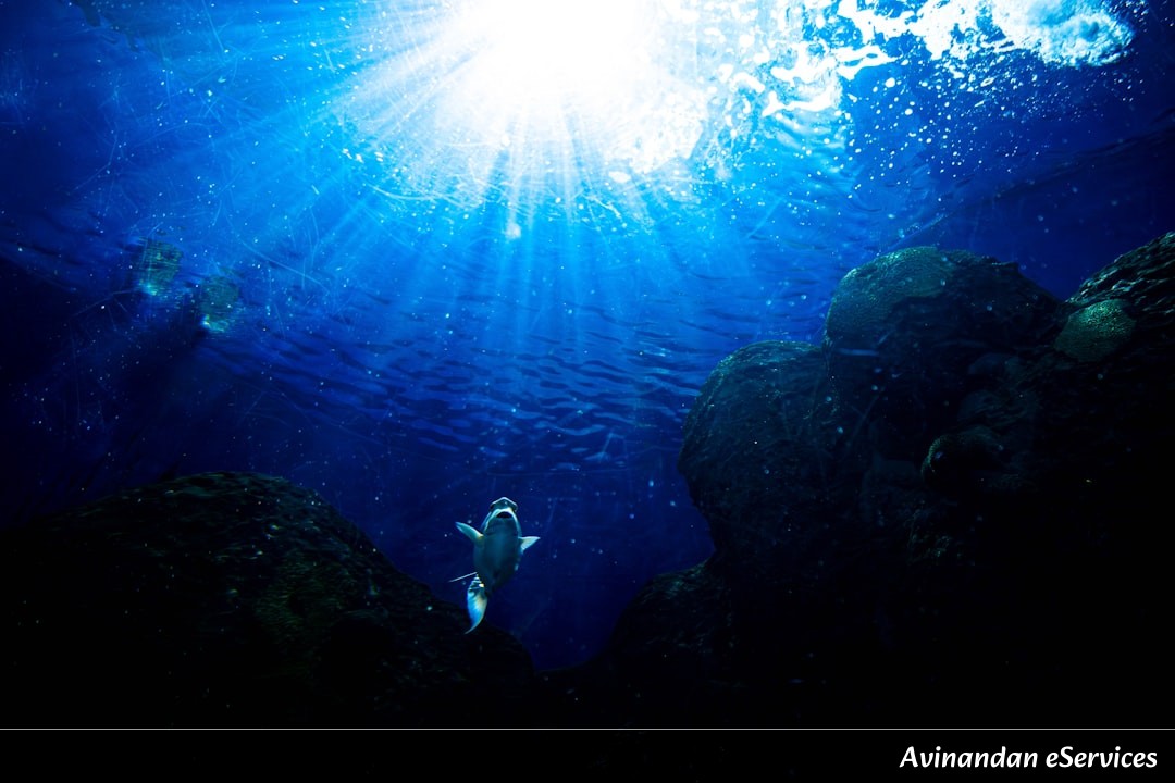 Why Can Some Deep-Sea Creatures Use 'Living' Flashlights?: A Science Chat with Samir and Isha