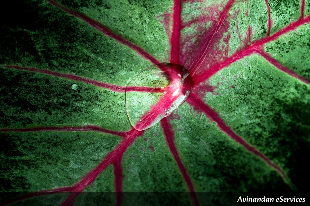 Why Do Some Plants 'Blink' With Electric Signals?: A Science Chat with Kabir and Isha