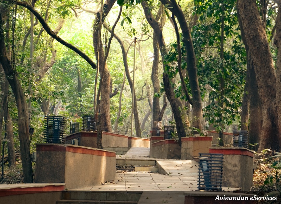 RRB NTPC & Group D General Awareness: Master the Indian Forest & Wildlife Conservation - Complete Guide