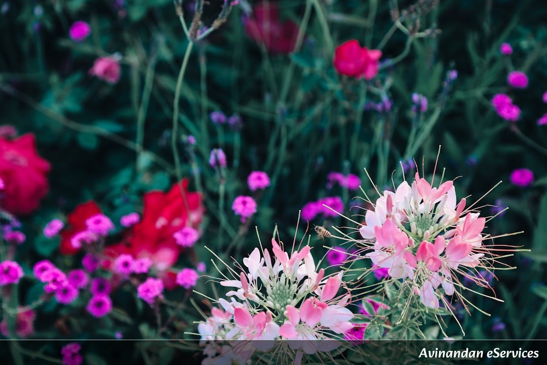 Why Can Some Flowers Measure Time and Temperature?: Arjun and Priya Find Out!