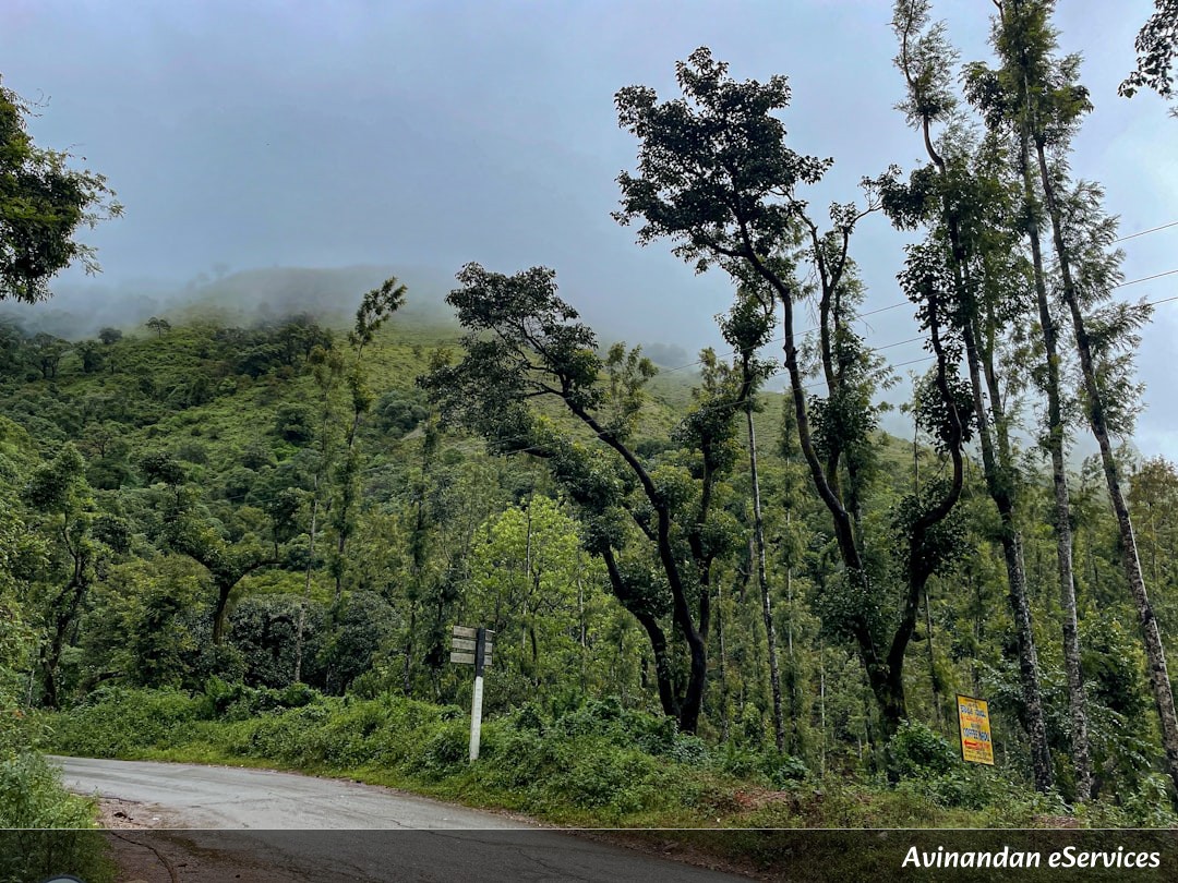 NCERT বিস্তারিত ব্যাখ্যা: নবম শ্রেণি ইতিহাস, অধ্যায় ৪ – অরণ্য সমাজ ও ঔপনিবেশিকতা