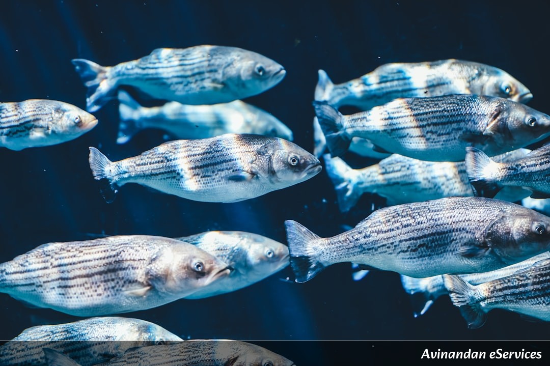 Why Can Some Deep-Sea Creatures Turn Into Living 'Glass'? A Science Chat with Samir and Saanvi