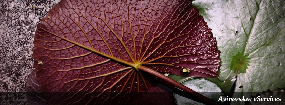 Why Do Some Plants 'Calculate' Their Own Diet?: A Science Chat with Kabir and Priya