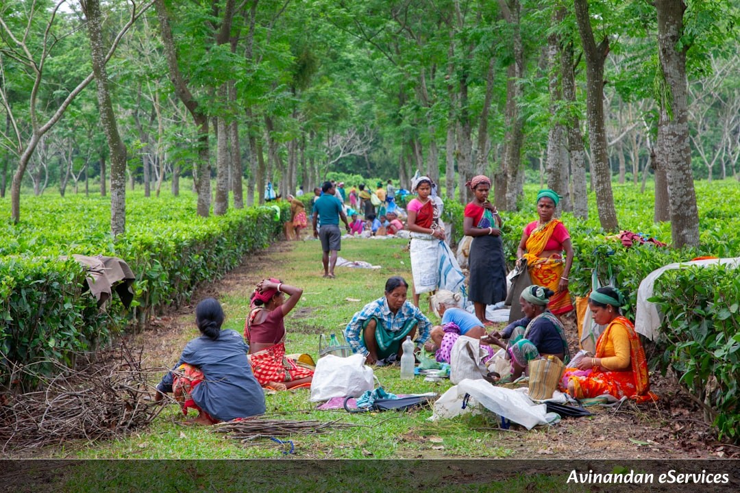 NCERT বিস্তারিত ব্যাখ্যা: দ্বাদশ শ্রেণি ইতিহাস, অধ্যায় ৯ – ঔপনিবেশিকতাবাদ এবং গ্রামীণ সমাজ
