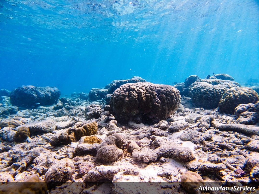Why Can Some Worms 'Weld' Themselves to Underwater Rocks?: A Science Chat with Arjun and Isha