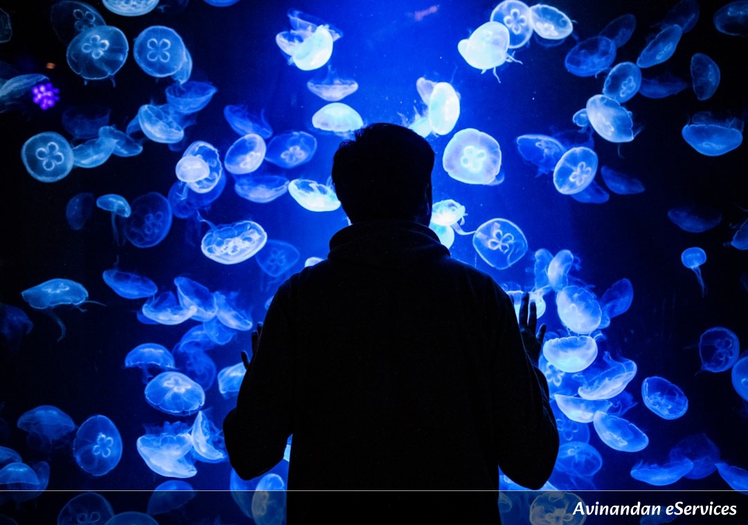 Why Can Some Deep-Sea Creatures 'Steal' Their Own Glow?: A Science Chat with Kabir and Mira