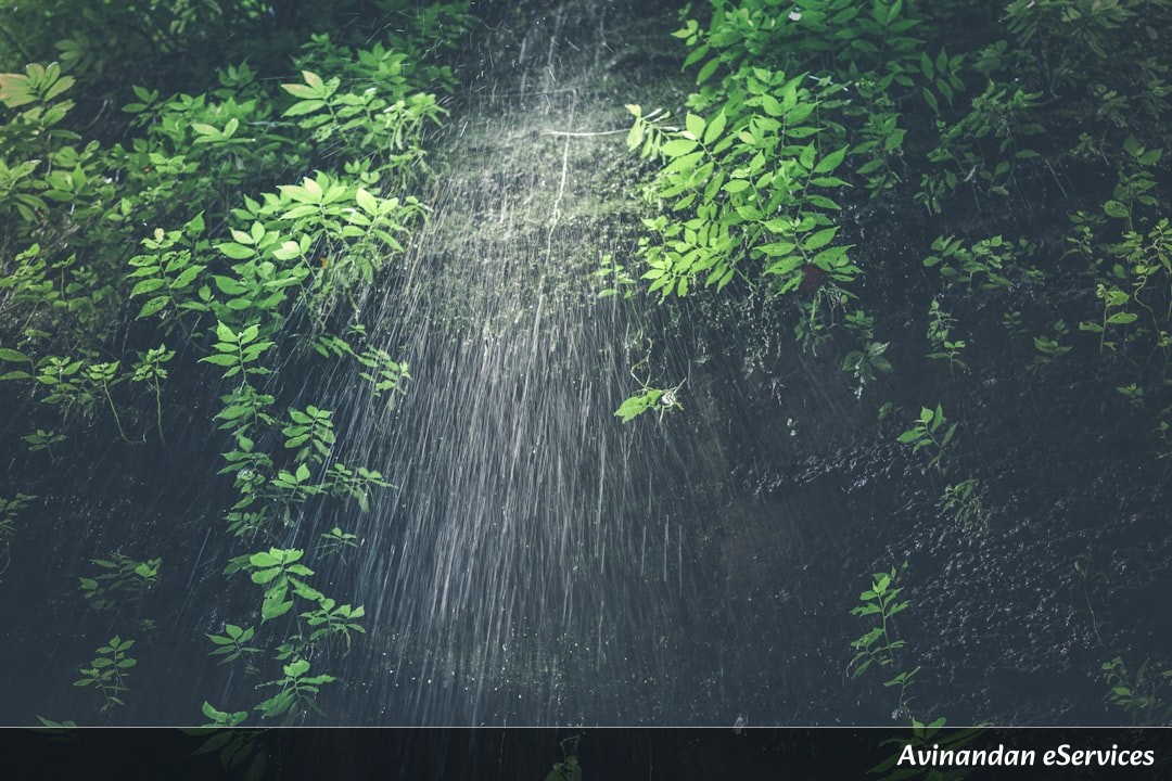 Why Do Some Plants 'Sip' Water Through Their Roots and 'Exhale' Clouds?: A Science Chat with Vikram and Ananya