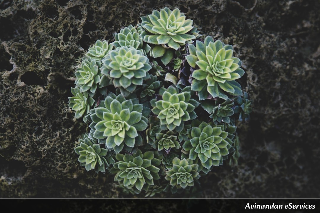 Why Do Some Plants 'Calculate' Their Own Salt Intake?: A Science Chat with Arjun and Isha