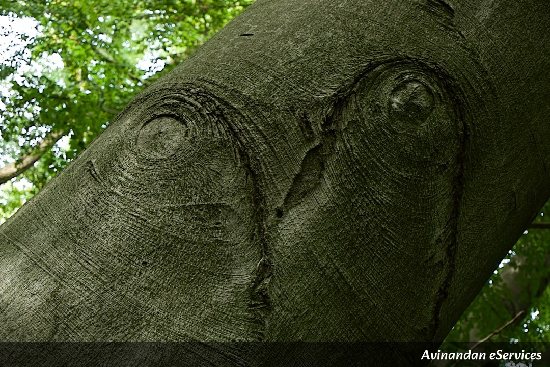 Why Do Some Trees Have 'Living' Sculptures Inside Their Hearts?: A Science Chat with Arjun and Ananya